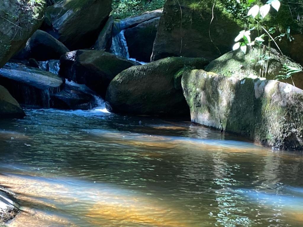 Pousada Campestre Sitio Da Lua Camanducaia Kültér fotó